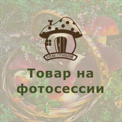 Заполнитель